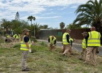 Limpieza retira 36 toneladas de residuos en barrios y zonas perif&eacute;ricas desde diciembre