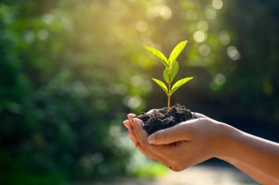 Educaci&oacute;n se suma al D&iacute;a de la Educaci&oacute;n Ambiental con el objetivo de avanzar en el fomento de h&aacute;bitos sostenibles