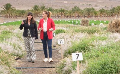 Schallenberg visita los trabajos contra la desertificación de la Granja Experimental de Pozo Negro en Fuerteventura