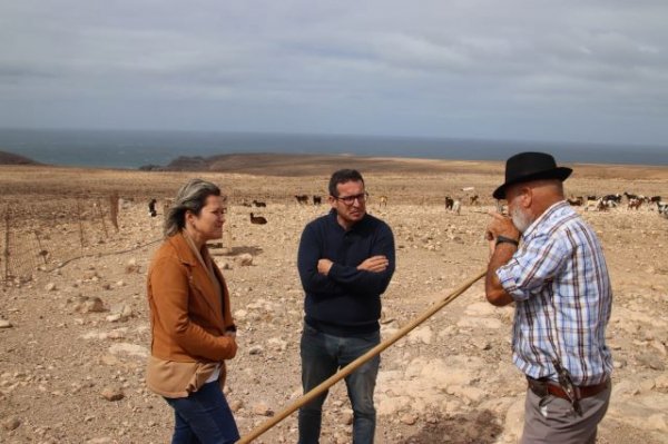 La consejera Alicia Vanoostende participa en la tradicional apañada de Betancuria, en Fuerteventura