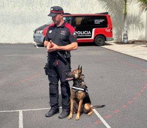 La Consejería de Presidencia imparte formación de orden público a guías caninos de la Policía Autonómica y Local