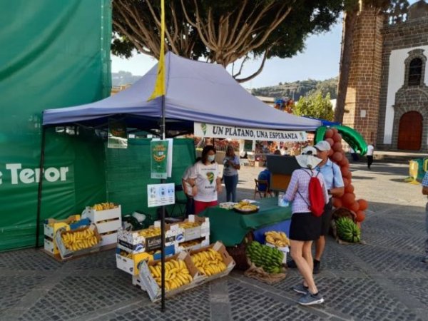 La campaña solidaria ‘Cómete un plátano por La Palma’ vuelve a Teror el próximo domingo