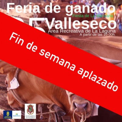 Valleseco aplaza los actos del fin de semana de la Fiesta de La Manzana en previsi&oacute;n de las fuertes lluvias