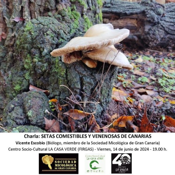 Villa de Firgas: El viernes 14 de junio, el biólogo Vicente Escobio hablará en La Casa Verde de “Setas comestibles y venenosas de Canarias”