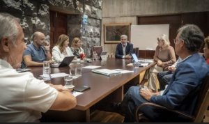 Gobierno y Cabildo de Tenerife abordan con la Plataforma Pro Hospital del Sur las nuevas acciones para el centro