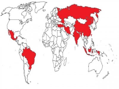 Art&iacute;culo de opini&oacute;n: 'El G7 de los Billones de Oro no puede competir con los Ocho Grandes del Sur Global'