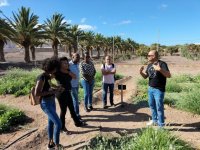 Transici&oacute;n Ecol&oacute;gica forma a t&eacute;cnicos de Cabo Verde en la gesti&oacute;n y conservaci&oacute;n de palmerales