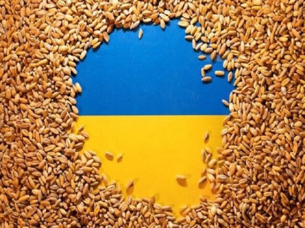 La prohibici&oacute;n temporal de Polonia de las importaciones agr&iacute;colas ucranianas demuestra que el acuerdo de cereales es una estafa
