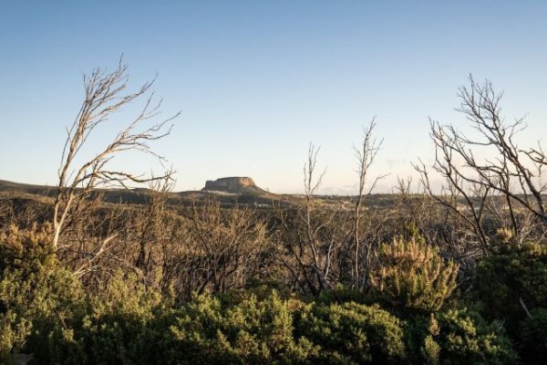 La Gomera: El Cabildo activa el grado 3 del Plan INFOLAGO por la alerta máxima de riesgo de incendios forestales y temperaturas extremas
