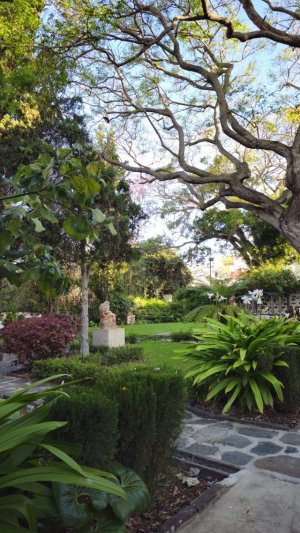 La Junta de Gobierno del Ayuntamiento de Arucas aprueba el expediente de licitación del servicio de mantenimiento de parques y jardines del municipio