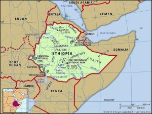 Es casi seguro que los BRICS formalizar&aacute;n una relaci&oacute;n con Etiop&iacute;a durante su pr&oacute;xima cumbre