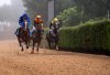 Valleseco: Últimas carreras de caballos del año en el hipódromo de La Laguna