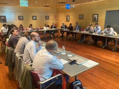 Canarias estudia con Europa sus opciones para incluir una regulaci&oacute;n espec&iacute;fica de almacenamiento energ&eacute;tico