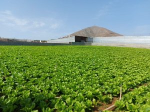 Juntos por Gu&iacute;a logra la defensa un&aacute;nime del sector primario frente al acuerdo de Mercosur en el Pleno municipal de Gu&iacute;a